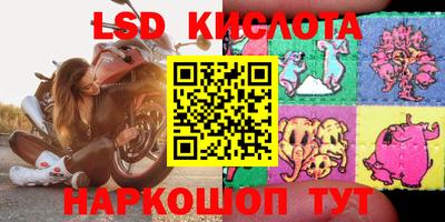 a pvp Гусев
