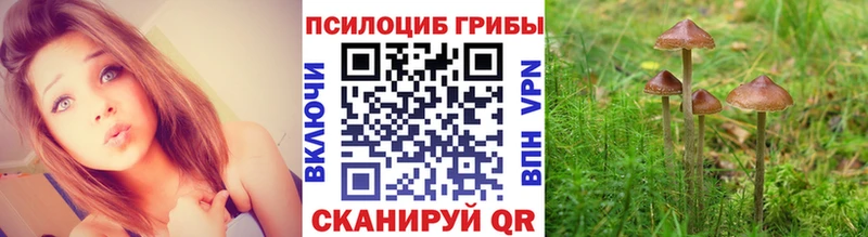 Галлюциногенные грибы Cubensis Петропавловск-Камчатский