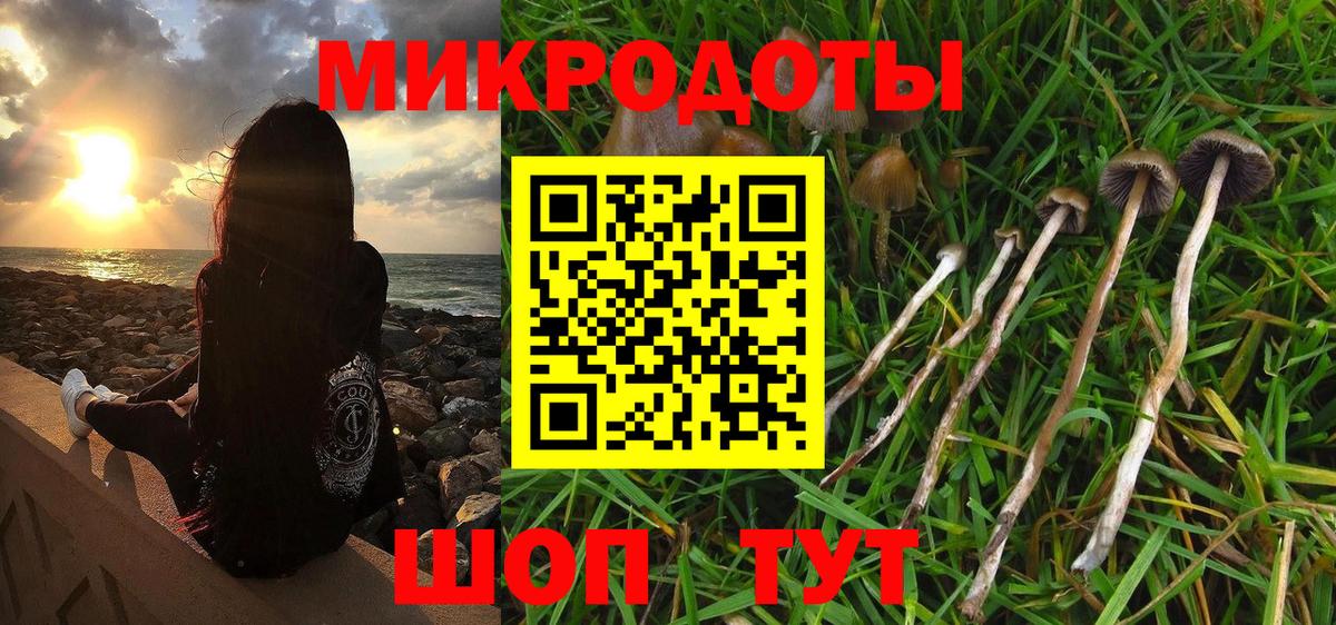 Псилоцибиновые грибы Magic Shrooms Петропавловск-Камчатский