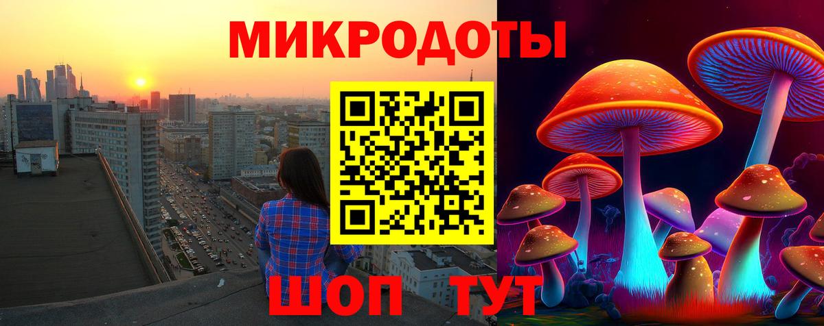 Петропавловск-Камчатский  Галлюциногенные грибы мухоморы  Вход с VPN 
